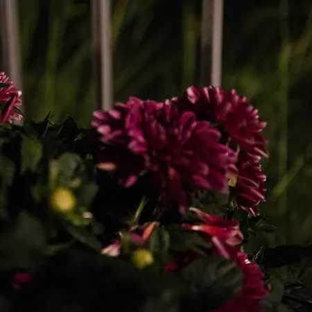 Afroditi Apart-hotel *