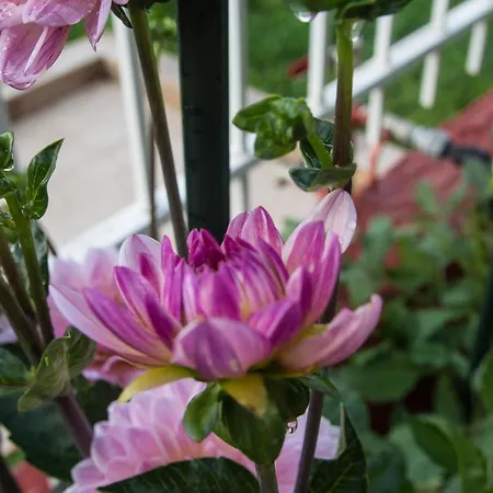 Apart-hotel Afroditi Paralía