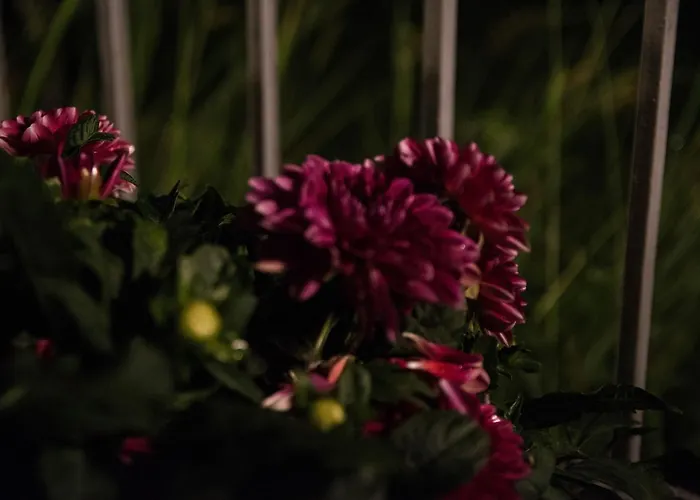 Afroditi Apartmanhotel *