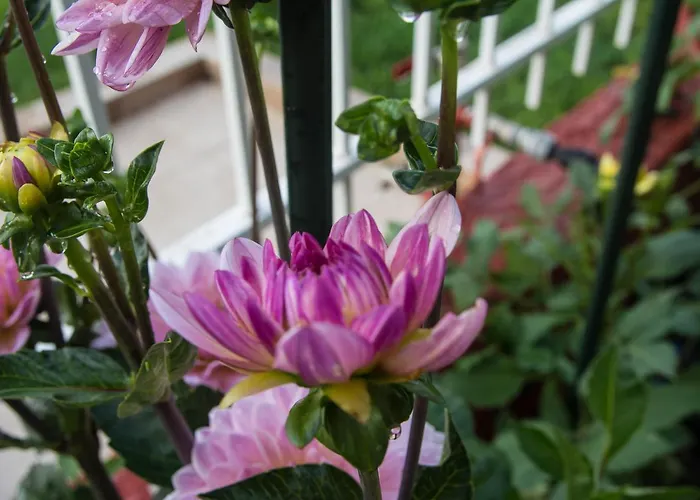 Apartmanhotel Afroditi Paralía