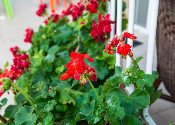 Afroditi Apartmanhotel *