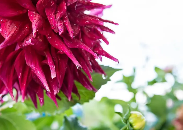 Afroditi Apartmanhotel *